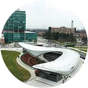 York University Heights