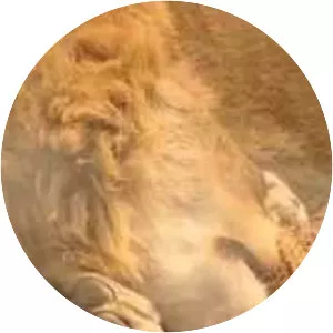 Yorkshire Wildlife Park - 