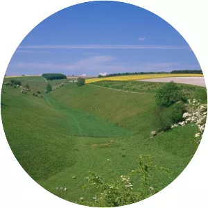Yorkshire Wolds - 