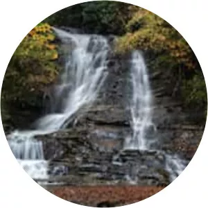 Yōrō Ravine (Yōrō Keikoku) - 