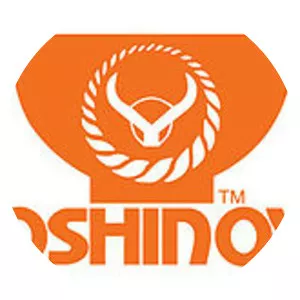 Yoshinoya - Fast food company