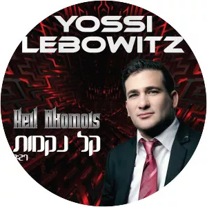 Yossi Lebowitz - Musical artist