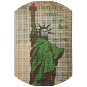 Young Cherry Trees Secured Against Hares: . . .