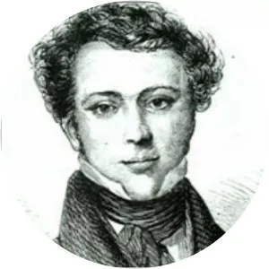 Young Dutch Sam - Boxer