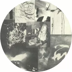 Young Echo - Musical group