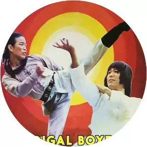 Young Hero of Shaolin