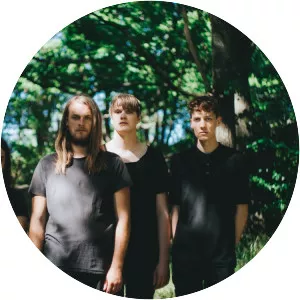 Young Mountain photograph