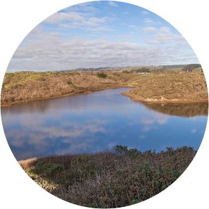 Younger Lagoon Reserve