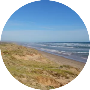 Younghusband Peninsula - 