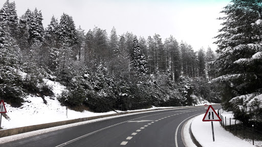 Ys Trans transporte urgente en furgoneta