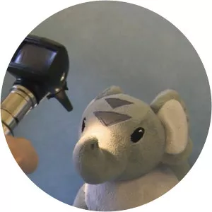 Ysbyty Cyw Bach - TV program