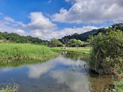 Yuemei Wetland Ecology Park - Ecological park in Taiwan