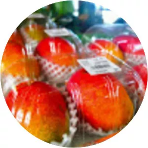 Yuiyuikunigami Rest Area - 