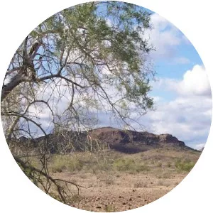 Yuma County - County in Arizona