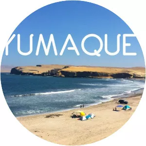 Yumaque - 