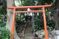 Yumemigasaki Zoological Park - 