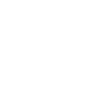 Yuneec International