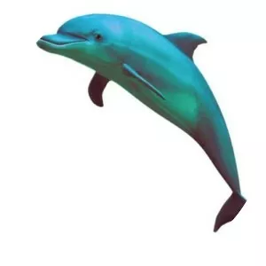 Yung Dolphin - Musical artist