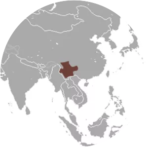 Yunnan hare - Animal