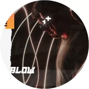 Yusuf Alev - Musical artist