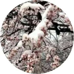 Yutaka Makino - Author