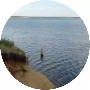 Yuzhnoural'skoye Vodokhranilishche - 