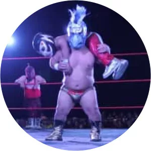 Zacarias el Perico (Mini Máximo)