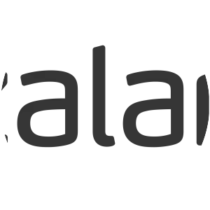 Zalando - Online store company