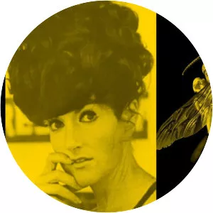 Zanny Begg: The Beehive Who killed Juanita