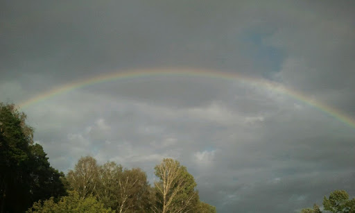 Zapadnogo Ao Mozhayskiy Dez Gup - Housing utility company in Moscow, Russia