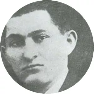 Žarko Zrenjanin