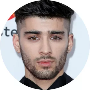 Zayn - Singer