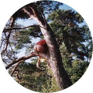 ZaZaZoZo - Musical group