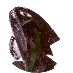 Zdenek Tomas Makovsky photograph