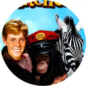 Zebra in the Kitchen