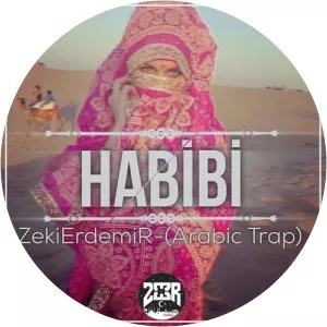 Zeki Erdemir - Musical artist