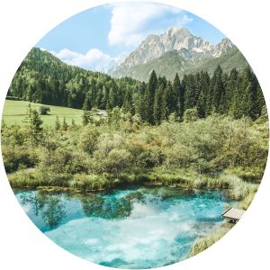 Zelenci Nature Reserve