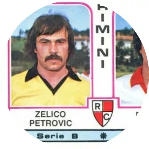 Zelico Petrovic - Goalkeeper