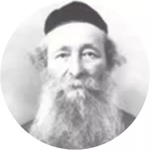Zelig Reuven Bengis - Rabbi
