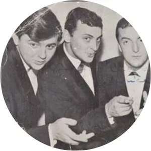 Željko Ružić Musician