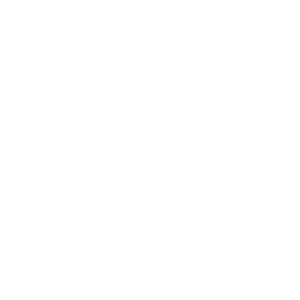 Zenvo Automotive