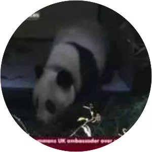 Xiang Zhang - Vice-Chancellor of The University of Hong Kong