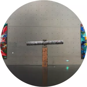 Zhaoyang Yin - Visual artist