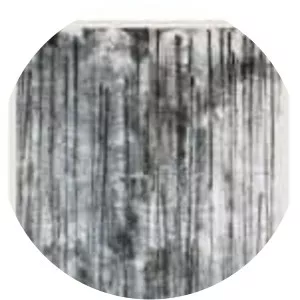 Zheng Chongbin - Artist