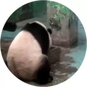 Zhengzhou Zoo （West Gate）