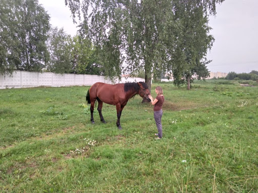 Zhivotnovodcheskiy Kompleks Rozhdestveno - Farm in Russia