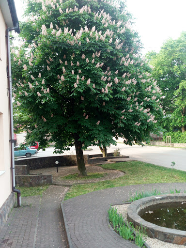 Zhyvytsya Plyus Tov - Corporate office in Vyhoda, Ukraine