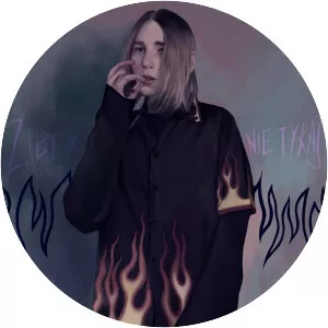 zibex - Musical artist