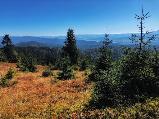 Zielenica - Tourist attraction in Ochotnica Gorna, Poland