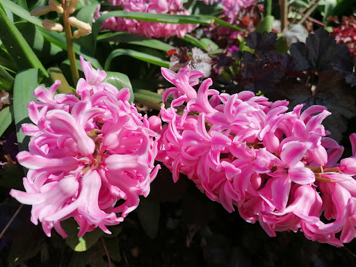 Zimmerei Christian Eckert - 